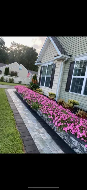Flower bed with bright pink blooms along a house walkway and gray pavers