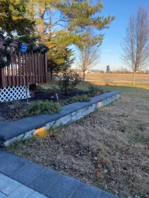 Backyard garden bed beside a wooden fence, with dry grass and trees in the distance