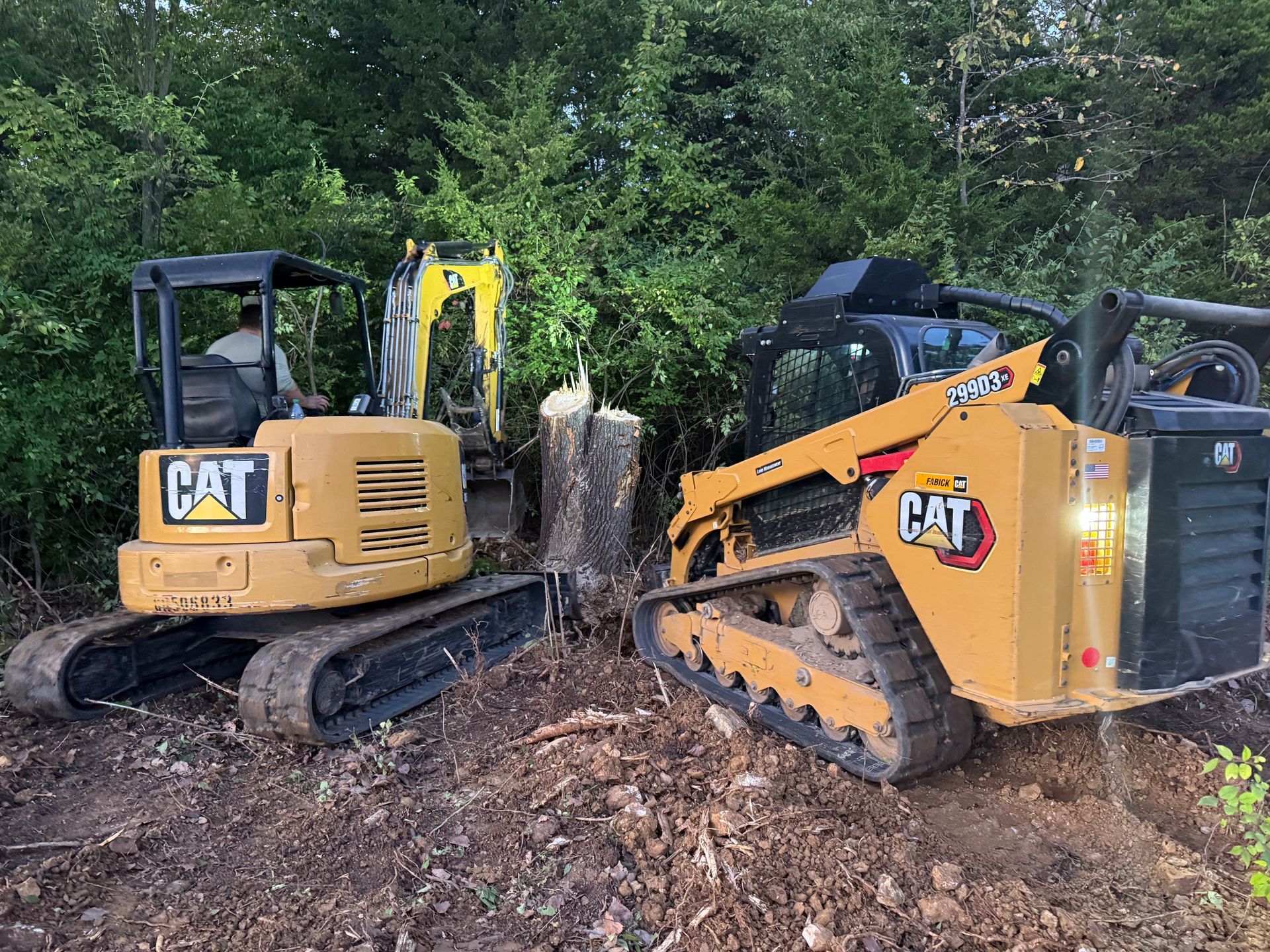 Two CAT excavators working in a muddy wooded area beside a cut tree stump.
