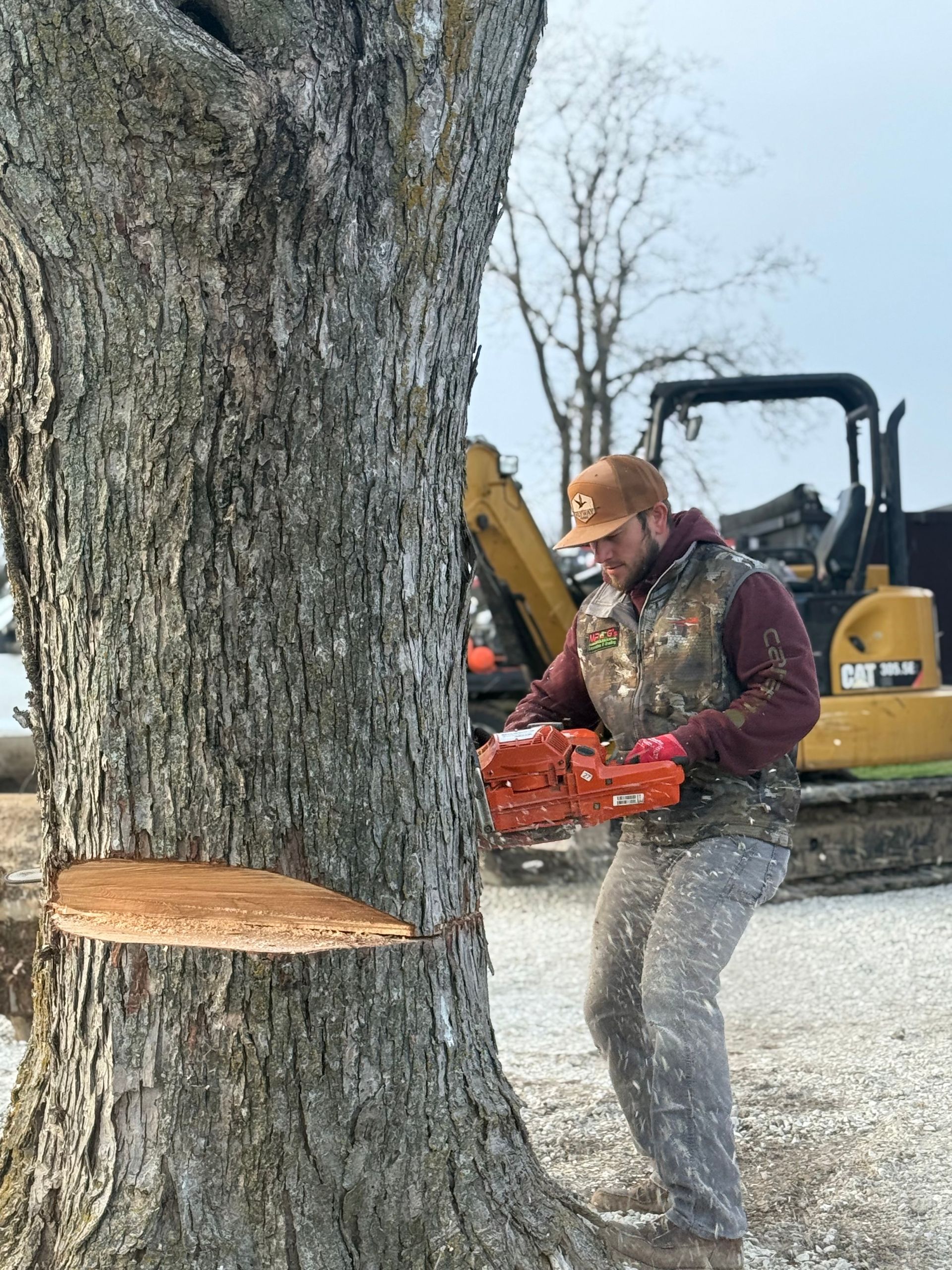 Worker with chainsaw cutting a tree trunk outdoors near a yellow excavator in snow.