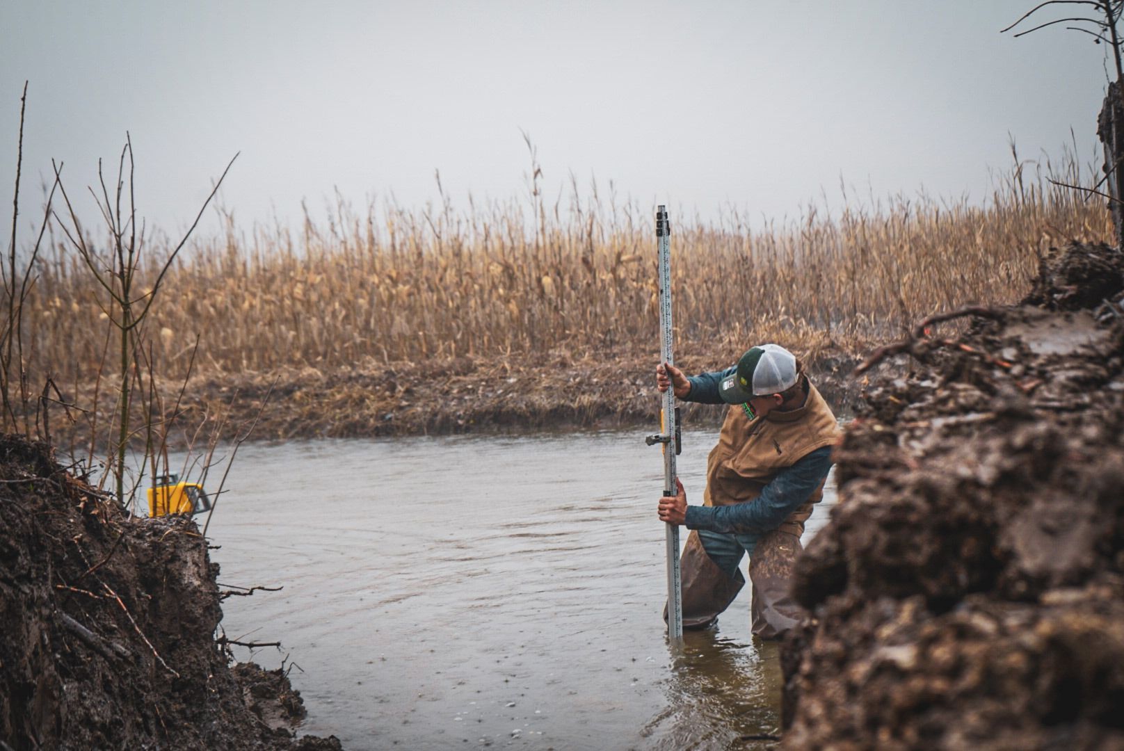 Person in waders planting a stake in a marshy creek beside tall reeds and muddy banks