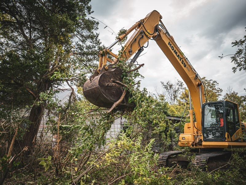 Yellow excavator lifting a large root ball amid dense greenery and trees