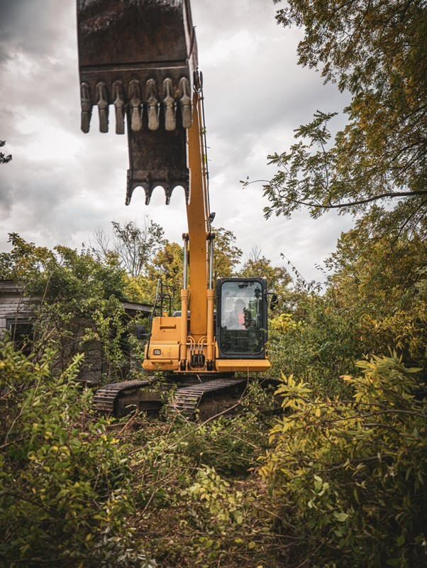 Yellow excavator clearing dense overgrown brush in a wooded area