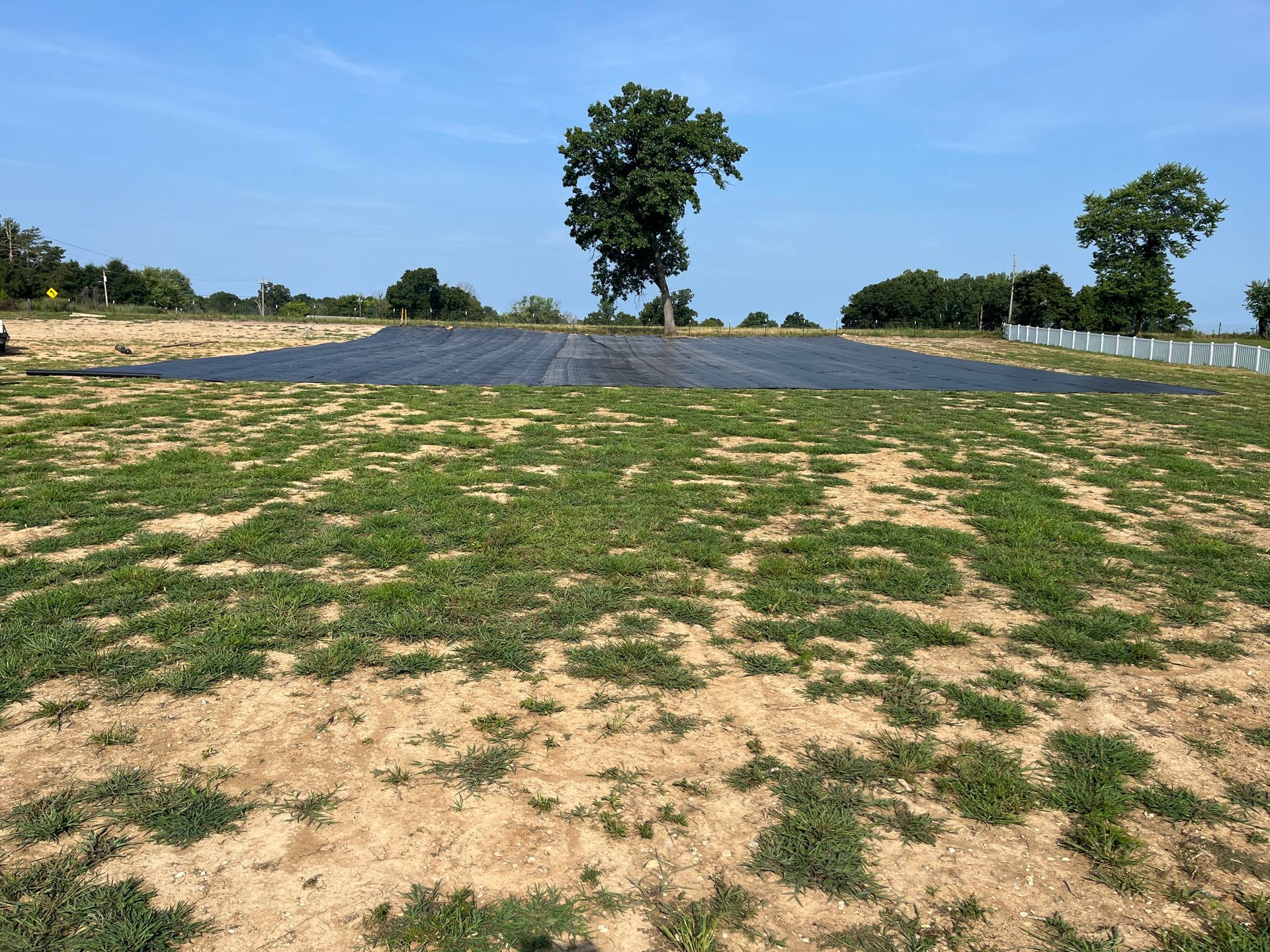 Open grassy field with scattered trees under a clear blue sky