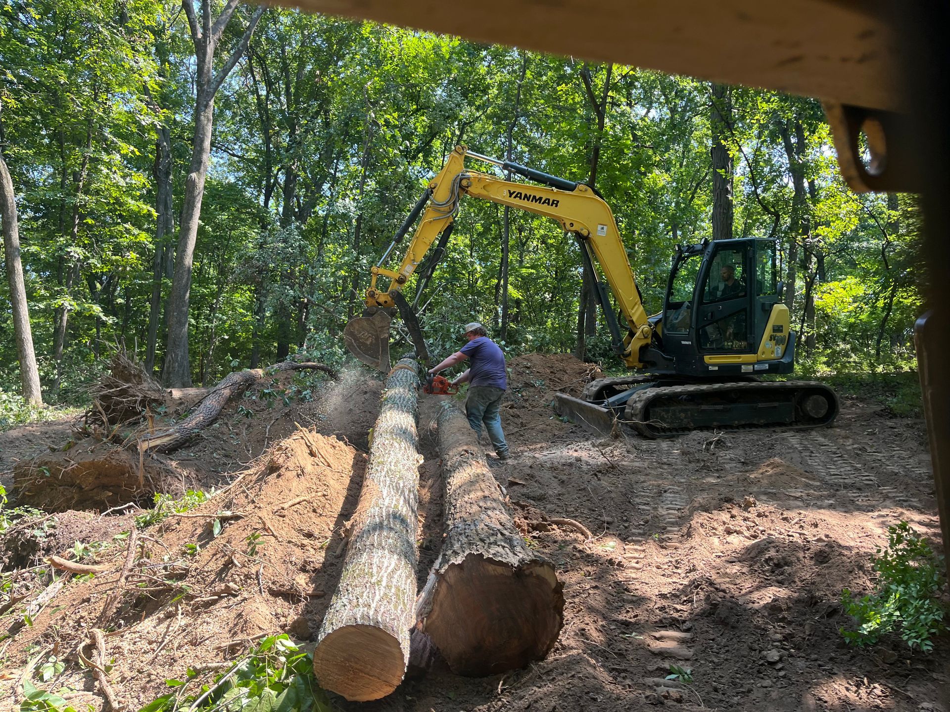 Worker and excavator moving large logs in a wooded clearing