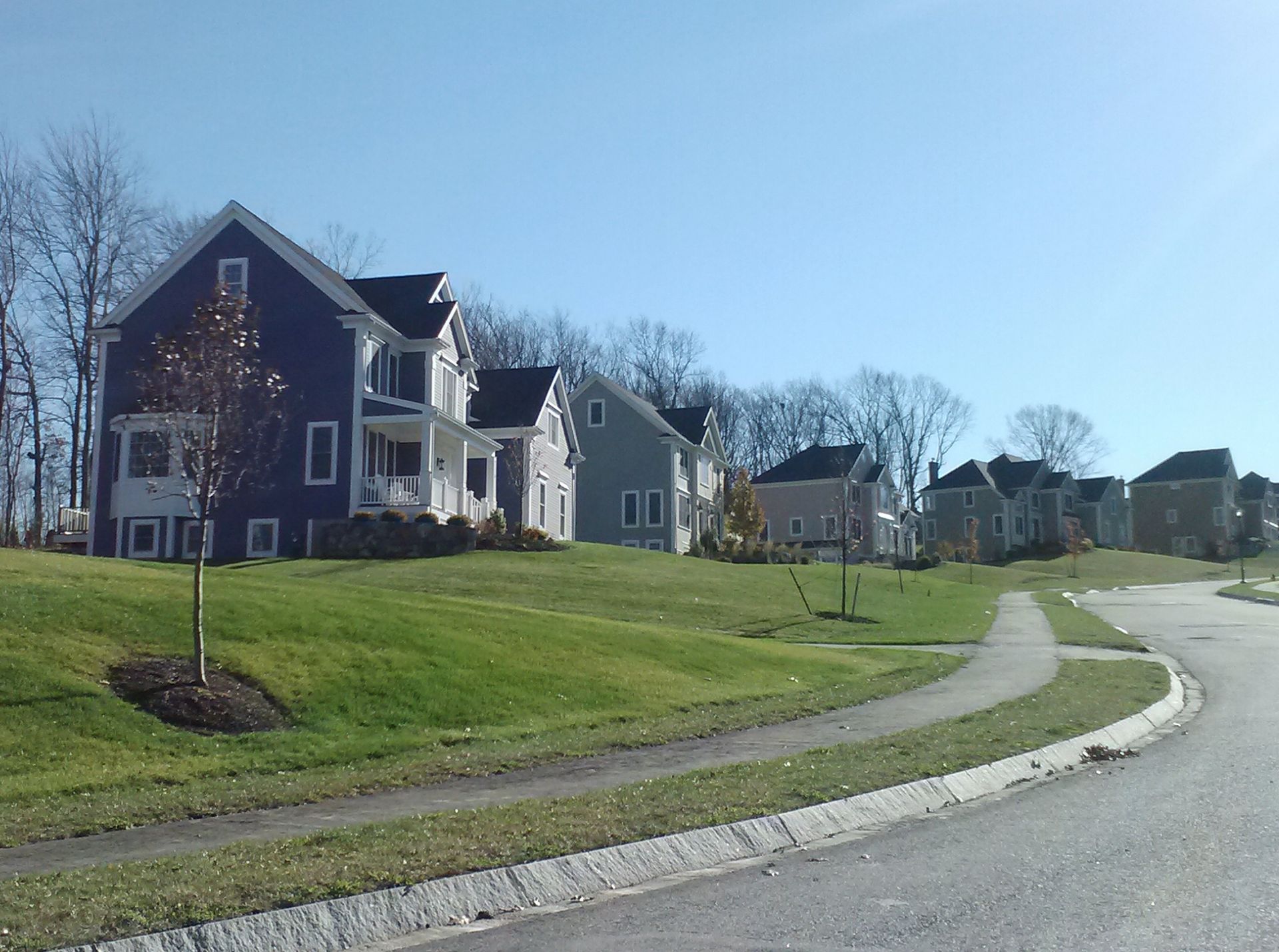 A row of suburban homes with varying paint colors and rooflines sits along a grassy, sloped residential street.