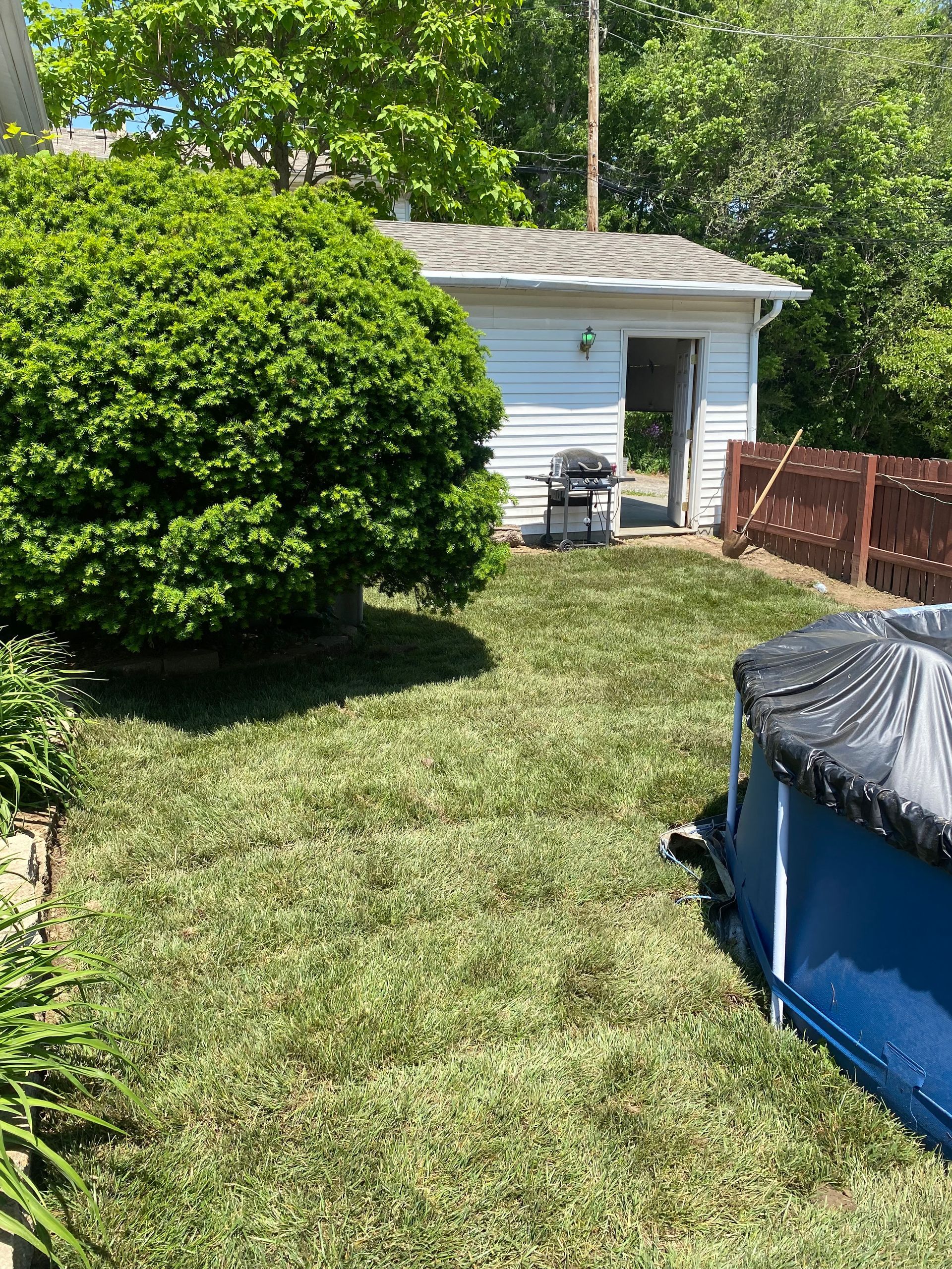 A backyard with a pool and a house in the background.