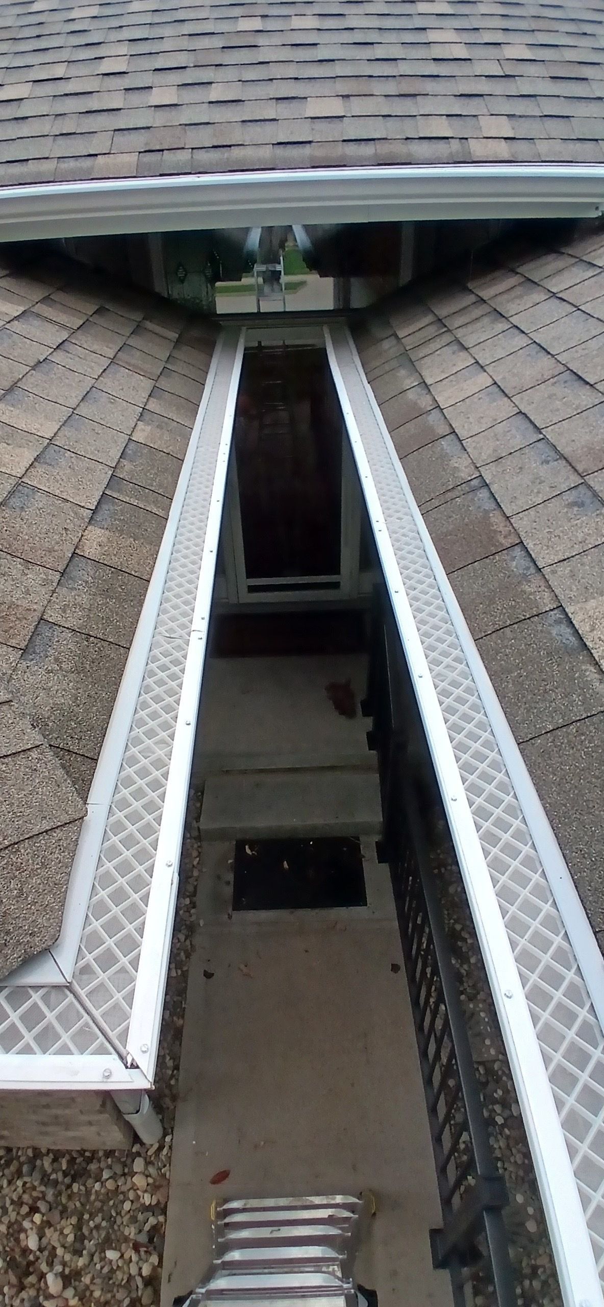 View of a roof gutter with a mesh guard, filled with debris.