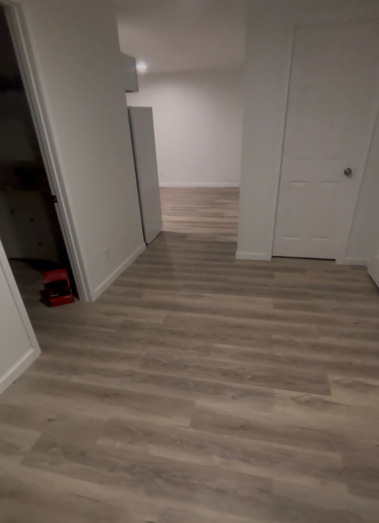 Light gray wood-look floor extends into a bright hallway. White walls, door, and a closet.