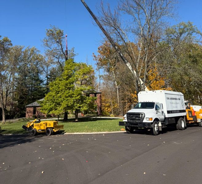 Tree service truck and equipment removing trees in a residential area on a sunny day.