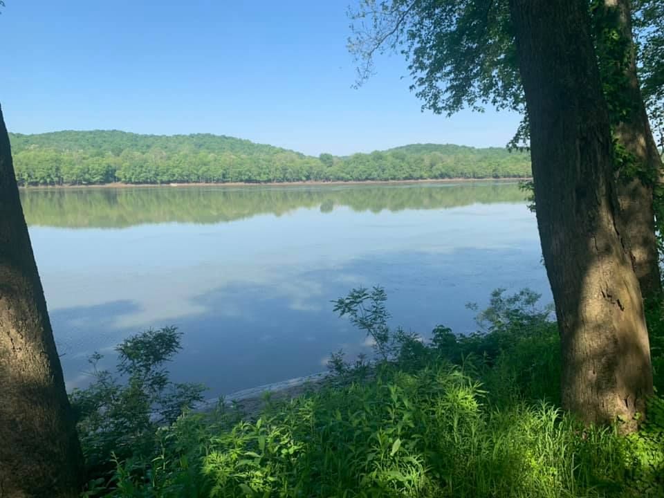 River view with trees framing the scene, green foliage, and forested hills under a blue sky.