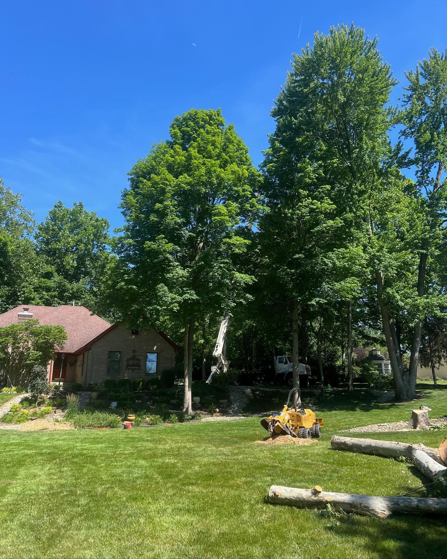 A house and trees on a sunny day with a stump grinder in the yard.