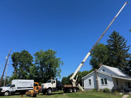R.W. Aufderheide & Son Tree Removal Experts