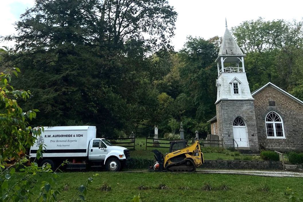 R.W. Aufderheide & Son Tree Removal Experts