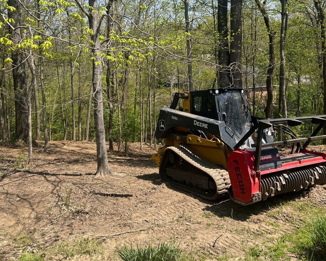 Skid steer with a brush cutter clearing trees in a wooded area on a sunny day.