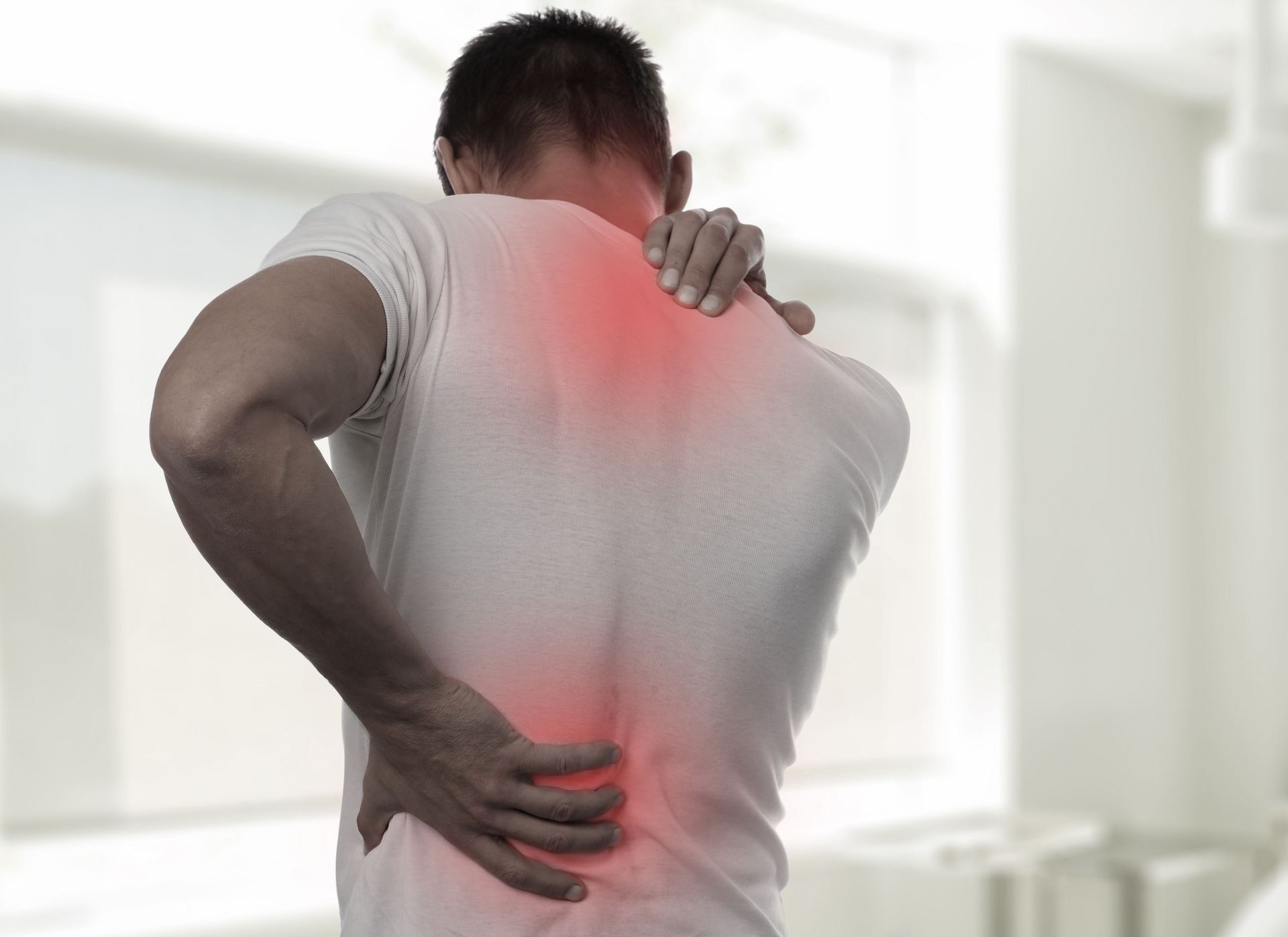 vascular services