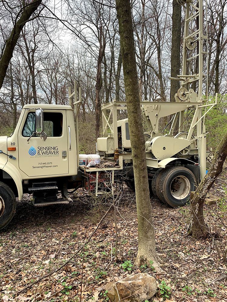A truck is parked in the middle of a forest next to trees.