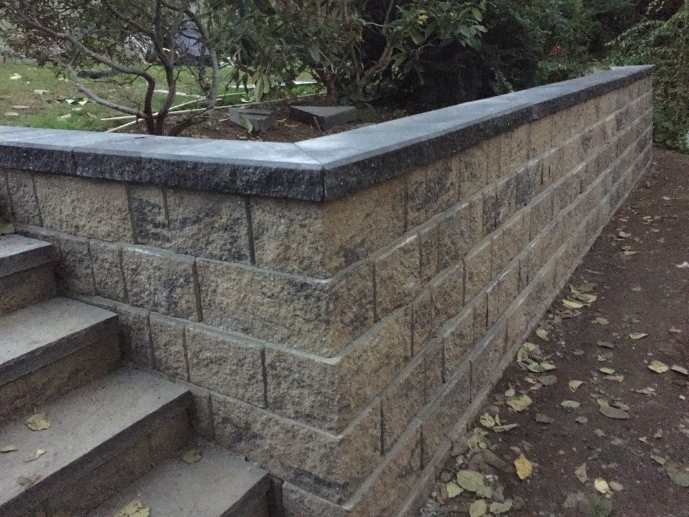 A brick wall with stairs leading up to it and a tree in the background.