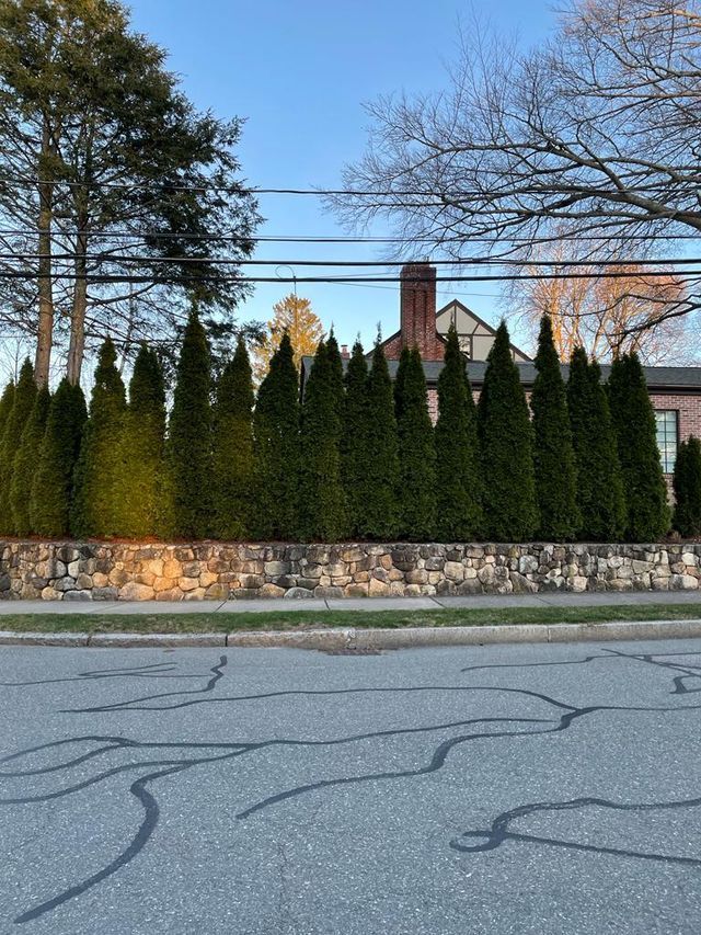 A stone wall surrounds a row of trees in front of a house.