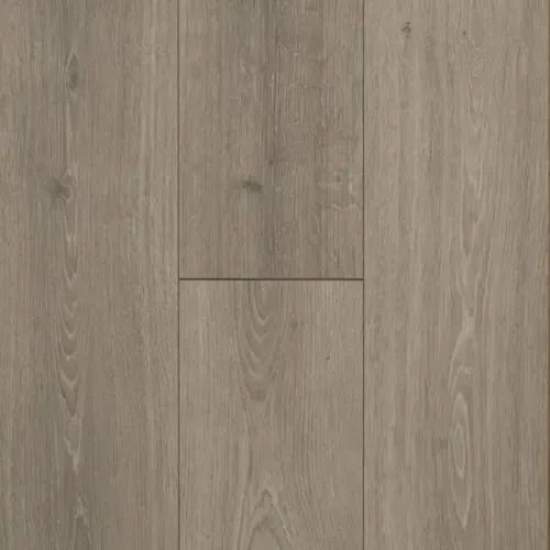 Boardwalk Collective