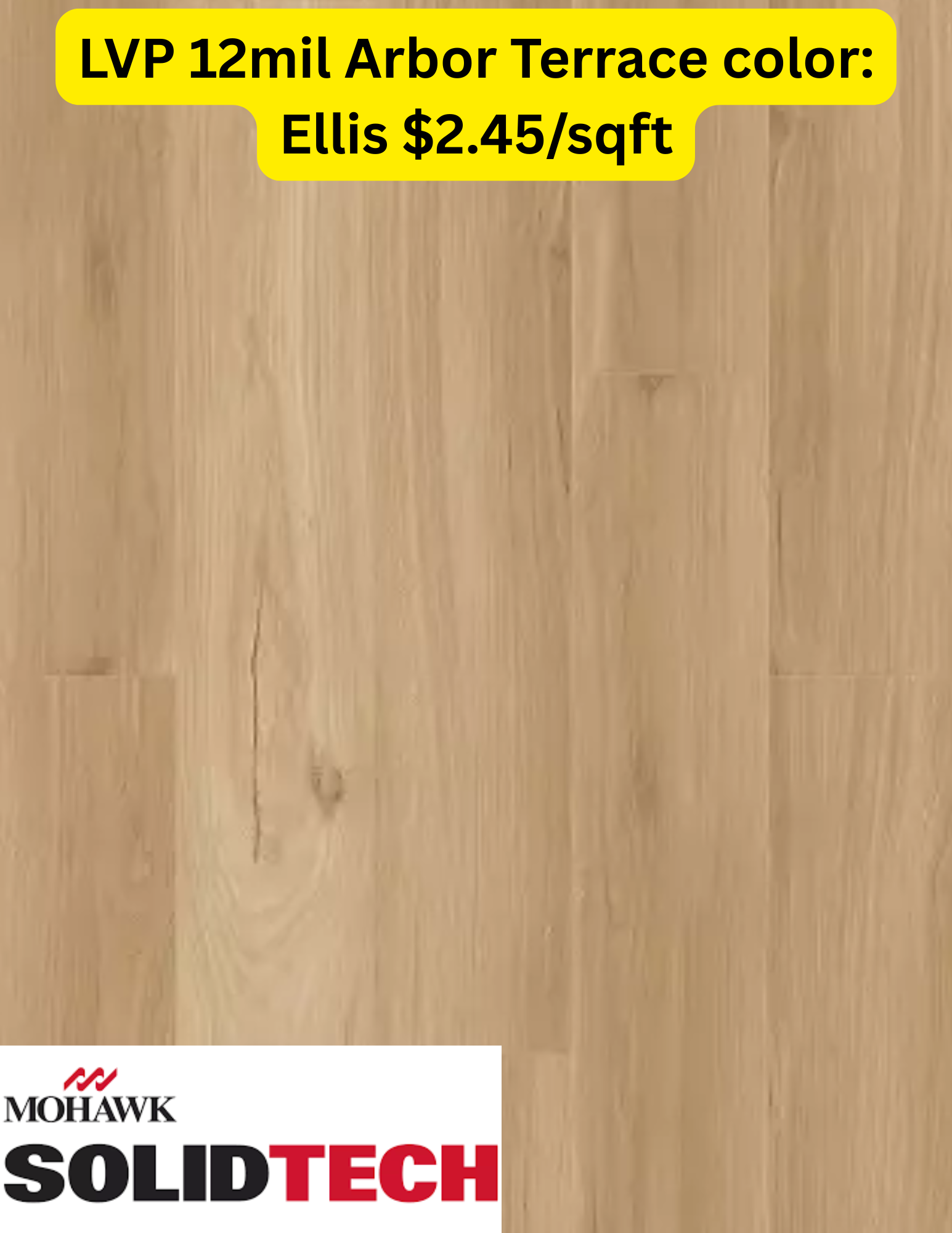 Arbor Terrace - Ellis