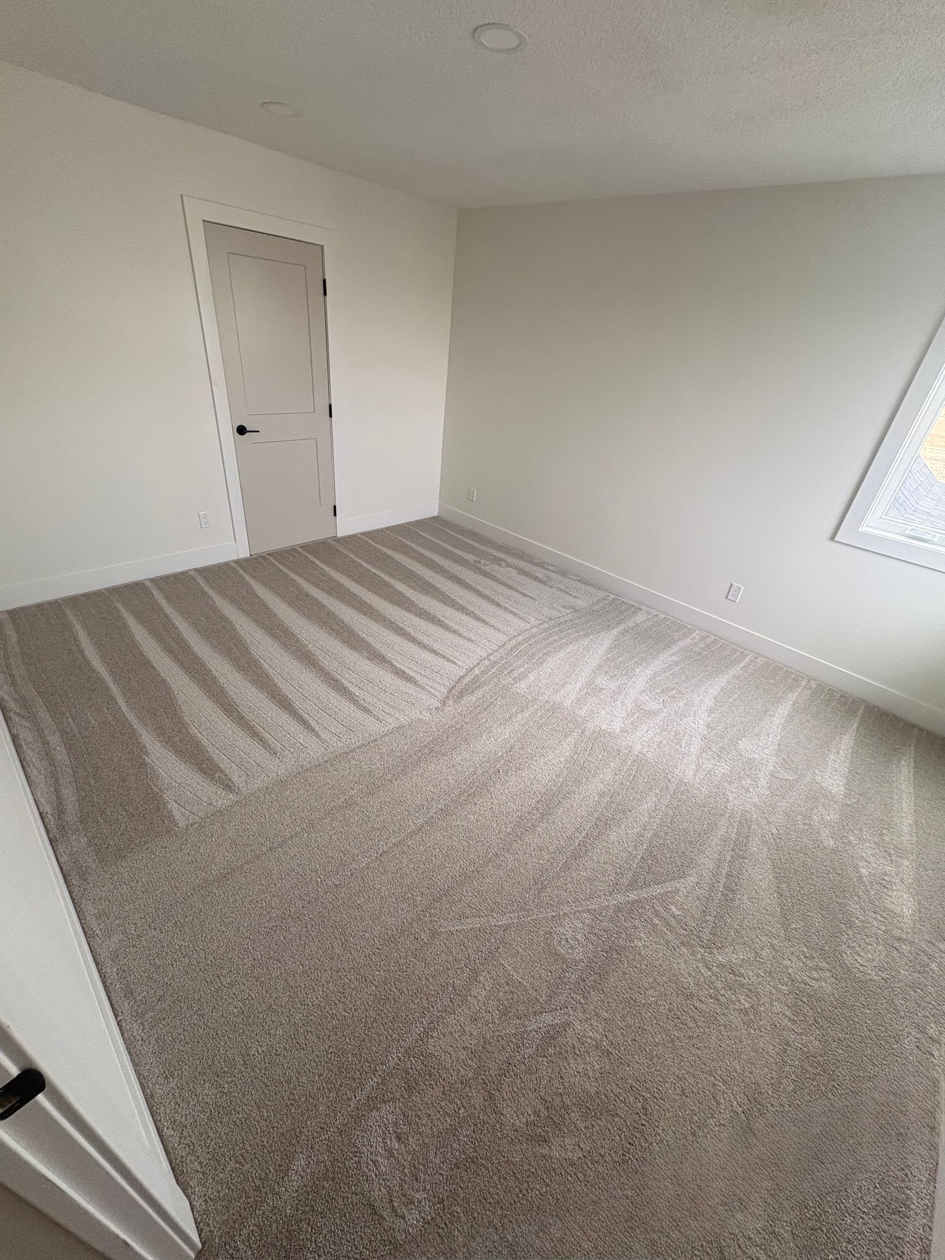 Empty room with beige carpet, white walls, and a closed door. Light streams through a window.