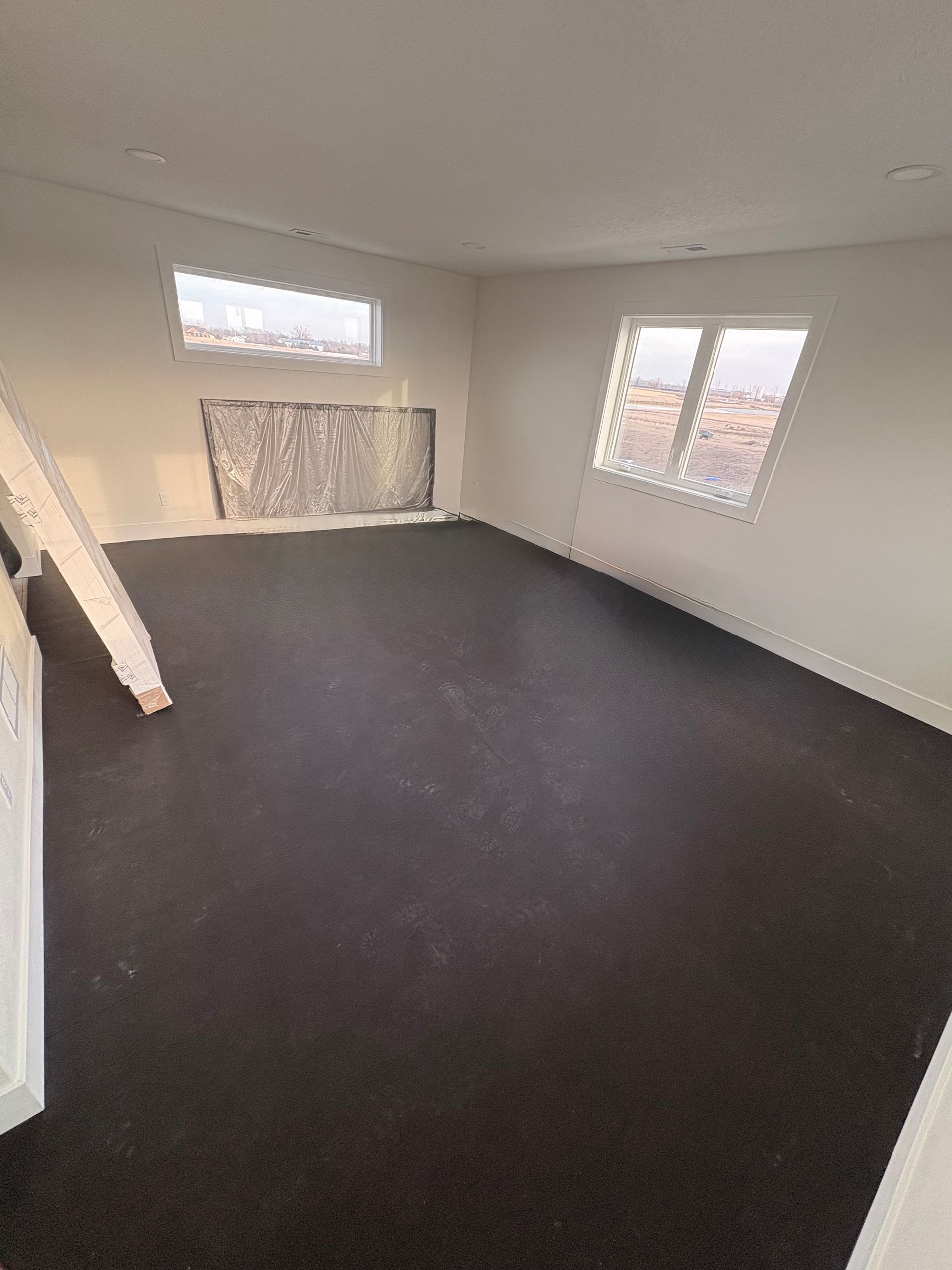 Empty room with dark carpet, two windows, and white walls.