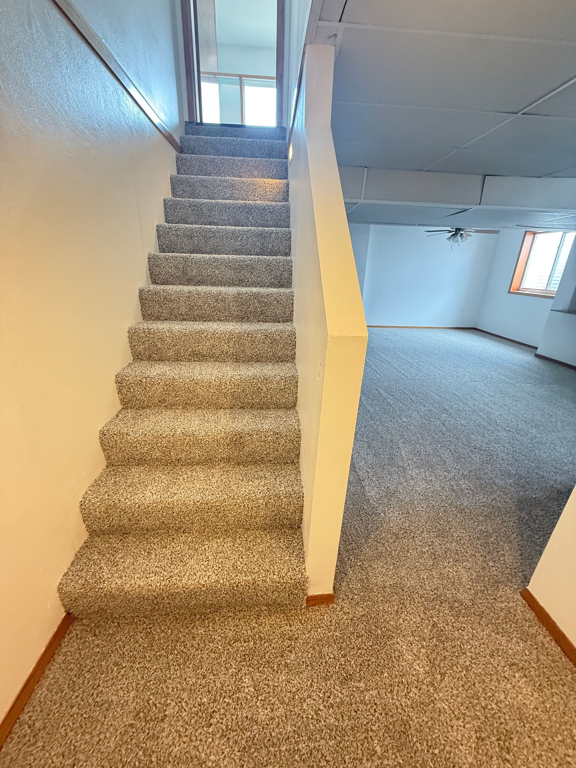 Staircase with gray carpet leads down to a room with carpet and a window. White wall on left. 