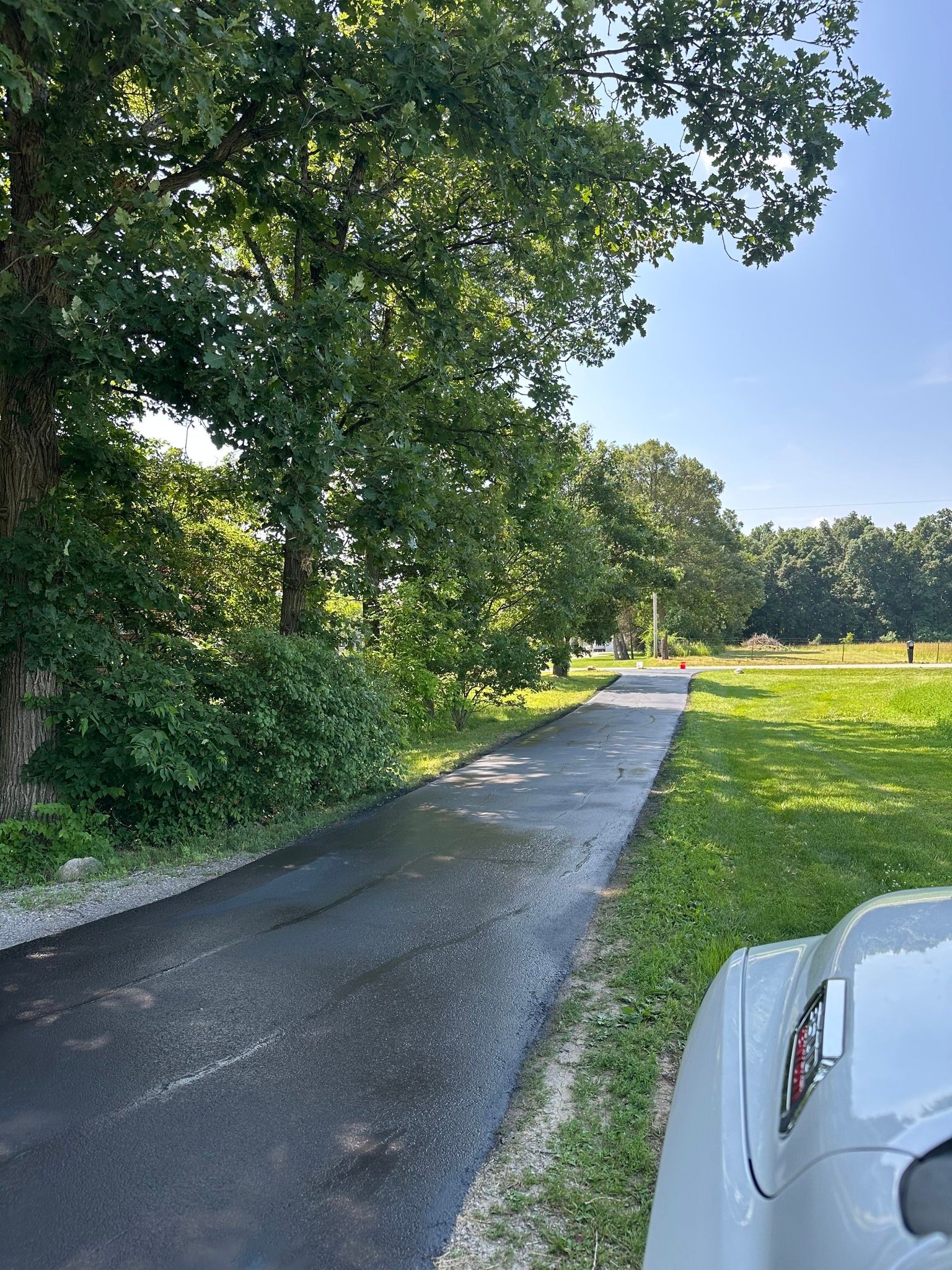 A paved path stretches between a line of lush green trees on the left and a grassy field under a clear blue sky.