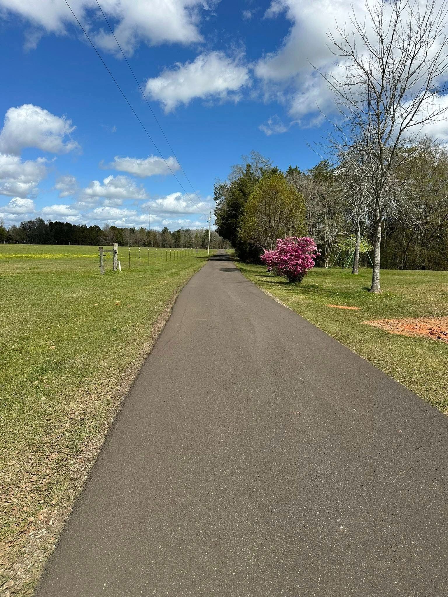 A paved path through a grassy field, trees on the right, under a blue sky with clouds.