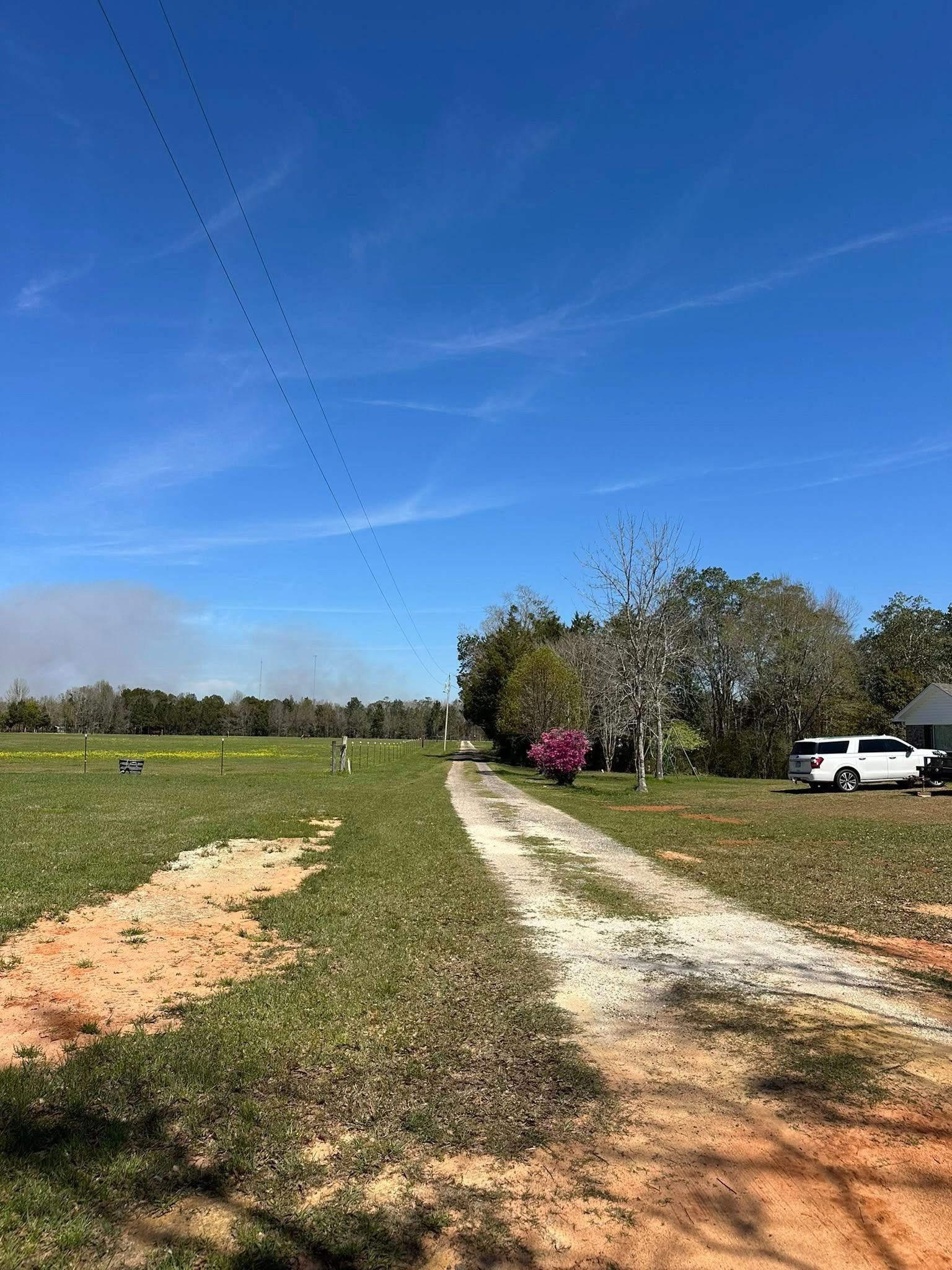 A dirt road leads through a field towards a farmhouse under a blue sky, with birds flying overhead.