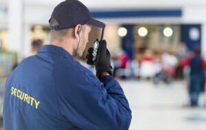 Hunter James Security emblem with American flags and eagle.