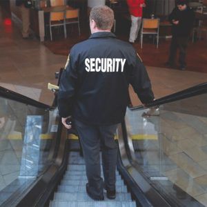 Hunter James Security emblem with American flags and eagle.