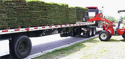 SOD delivery