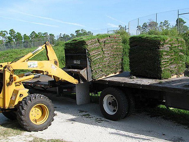 SOD delivery