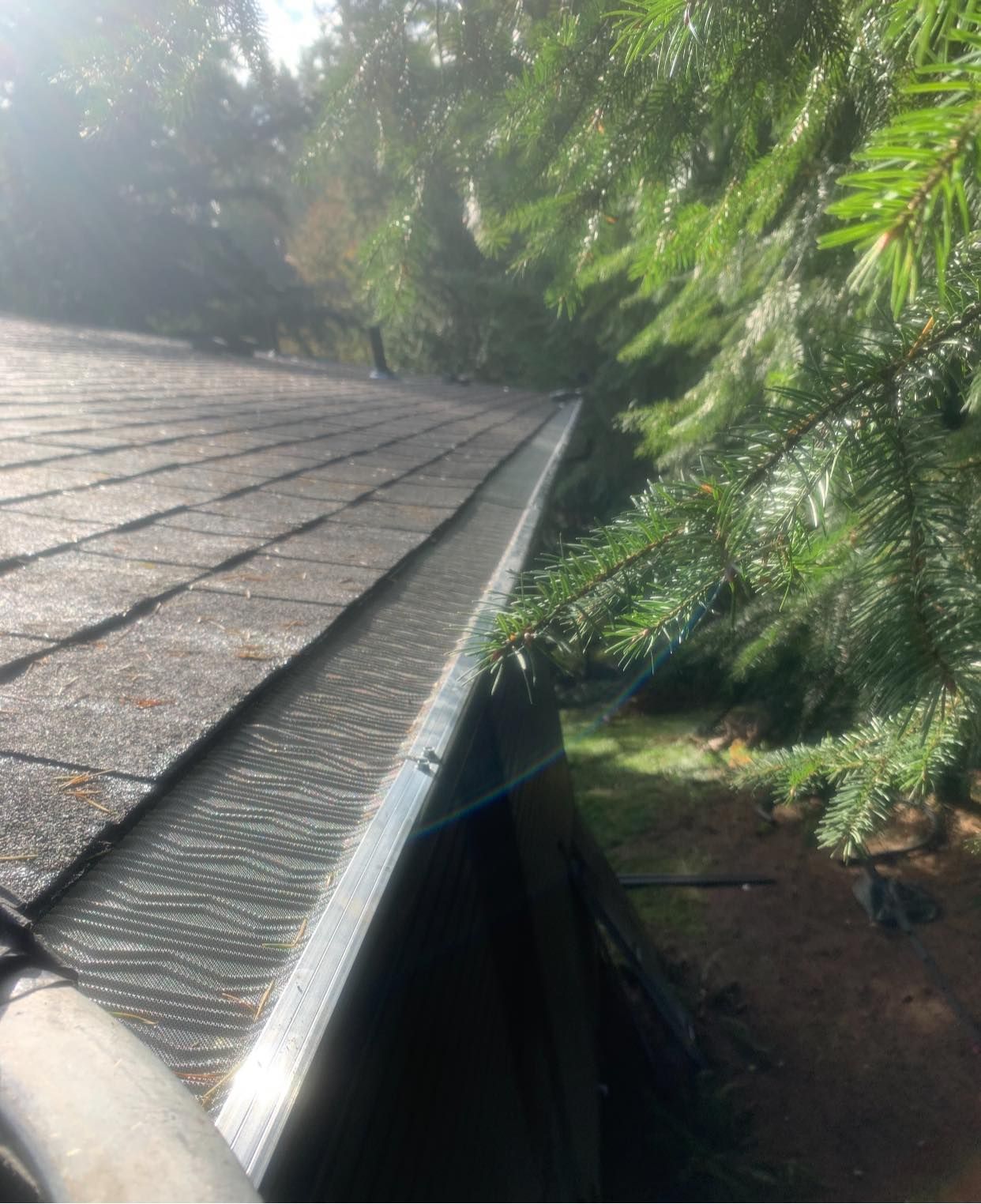 A close up of a gutter on a roof with trees in the background.