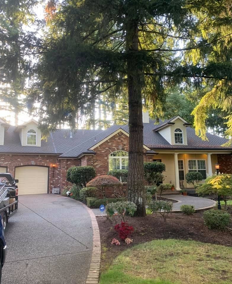 A brick house with a large tree in front of it.