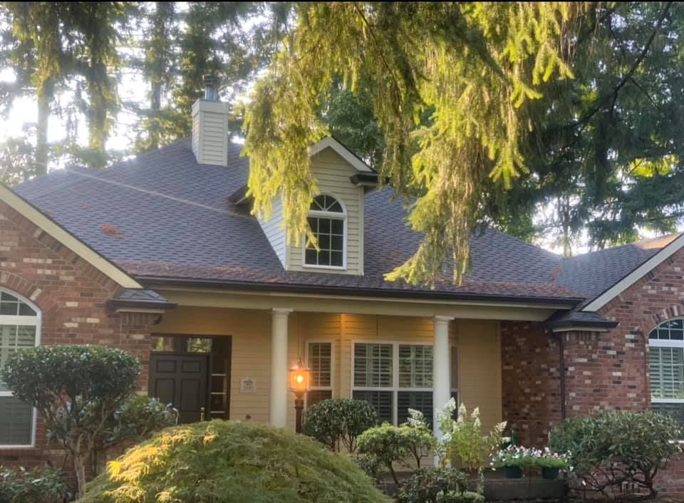 A brick house with a black roof is surrounded by trees.