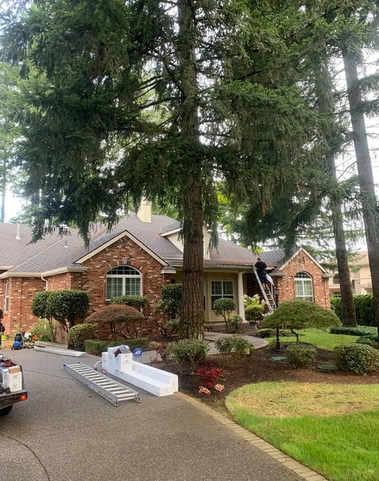 A man is standing on a ladder in front of a house.