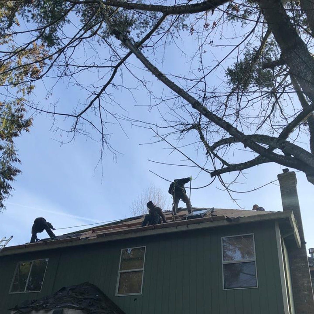 A group of men are working on the roof of a green house.