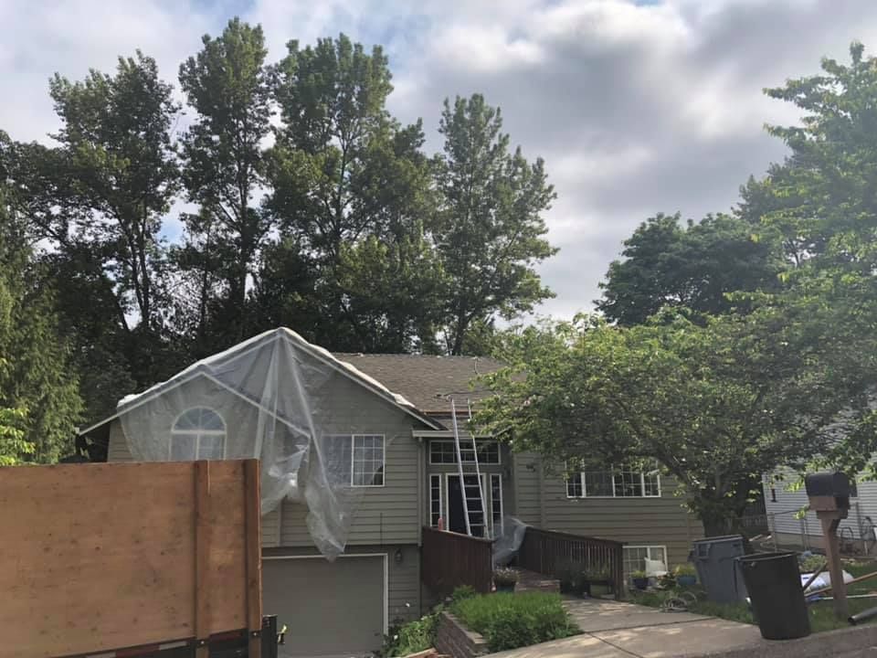 A house with a tarp on the roof is surrounded by trees.
