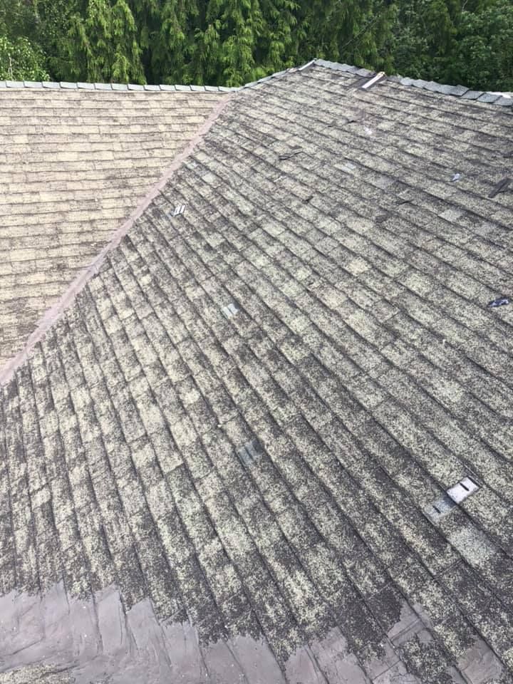 A roof with a lot of moss on it and trees in the background.
