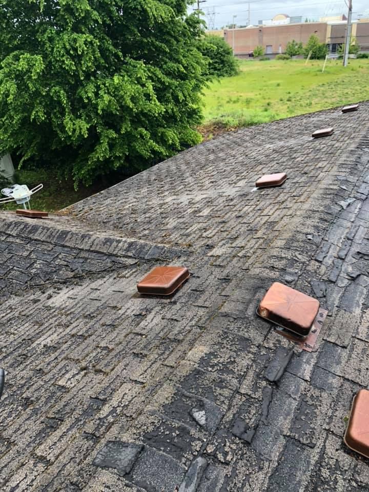 A roof with a lot of bricks on it and a tree in the background.