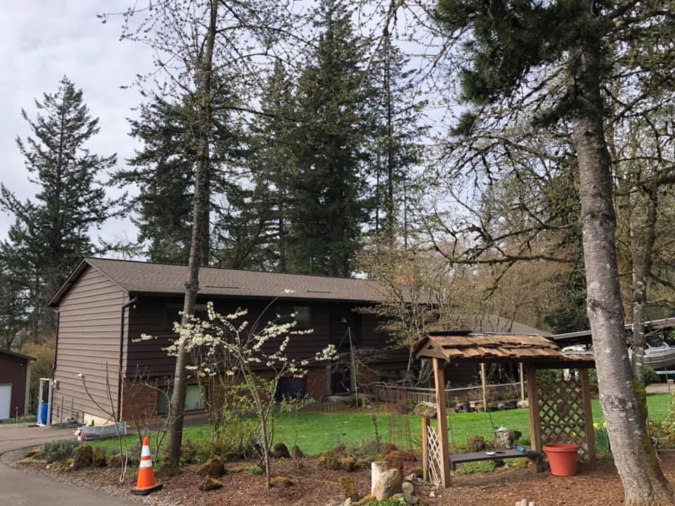 A house in the middle of a forest with a bench in front of it.