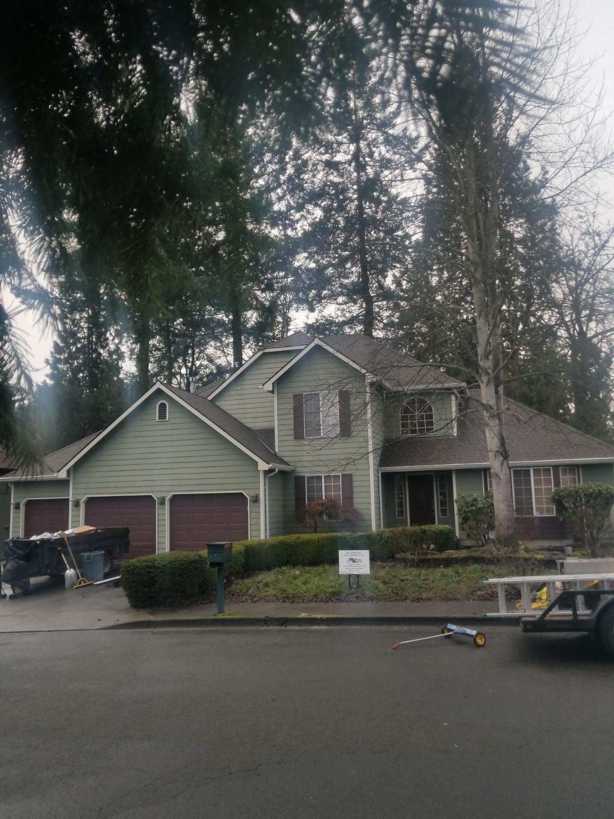 A green house with a brown roof is surrounded by trees.