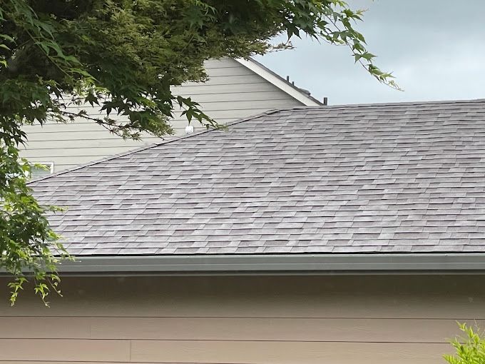 A close up of a roof of a house with a tree in the background.