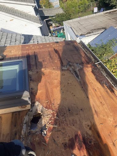 A person is working on a roof with a skylight.
