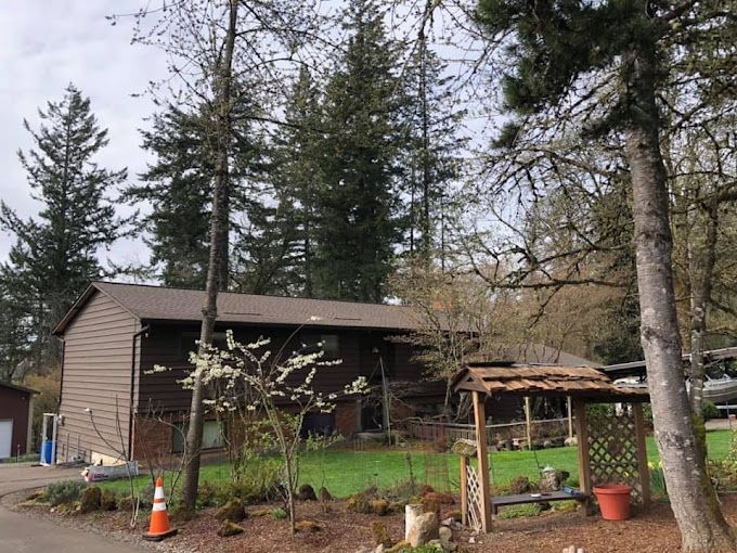 A house in the middle of a forest with trees in front of it.