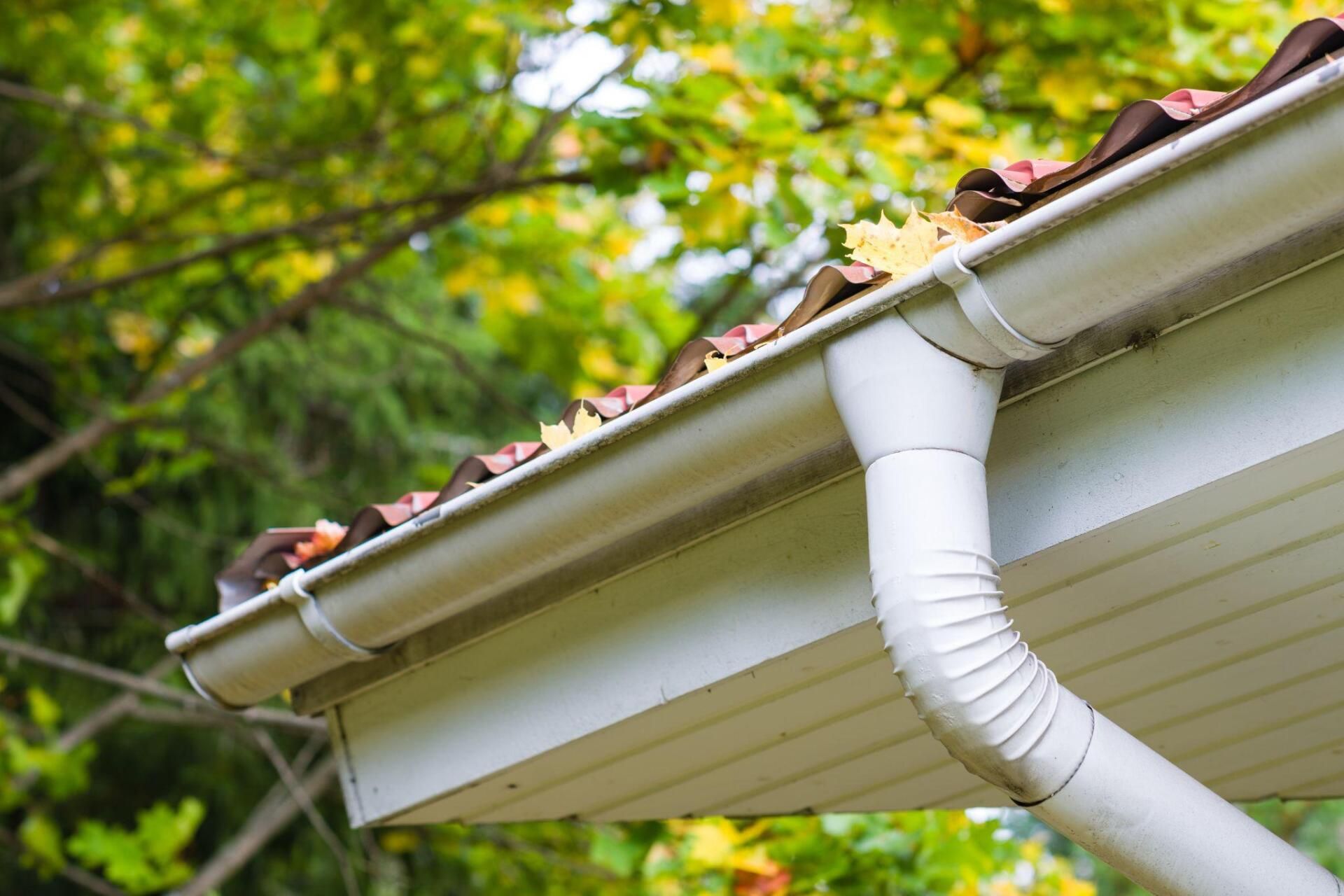 A white gutter on the roof of a house with leaves on it.