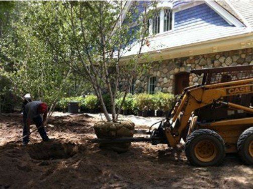 Landscaping services